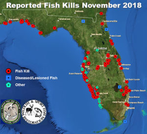 Map of reported fish kills Nov 2018 - Even into November 2018, there were many reported fish kills due to the red tides. (Source: Flickr, FWC Florida Fish and Wildlife Research Institute)