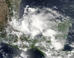 Tropical Storm Barry located in the Gulf of Mexico (source Wikimedia/NASA/MODIS Rapid Response System)