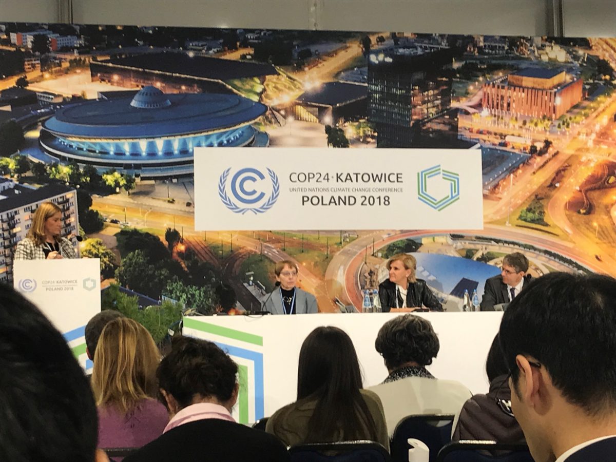 Panel Discussion at COP24 (b)