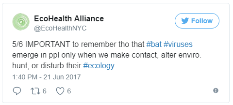 @EcoHealthNYC Jun 21 More 5/6 IMPORTANT to remember tho that #bat #viruses emerge in ppl only when we make contact, alter enviro. hunt, or disturb their #ecology