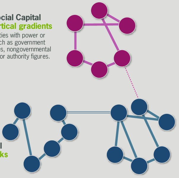he interplay between bonding, bridging and linking ties illustrates different forms of social capital.